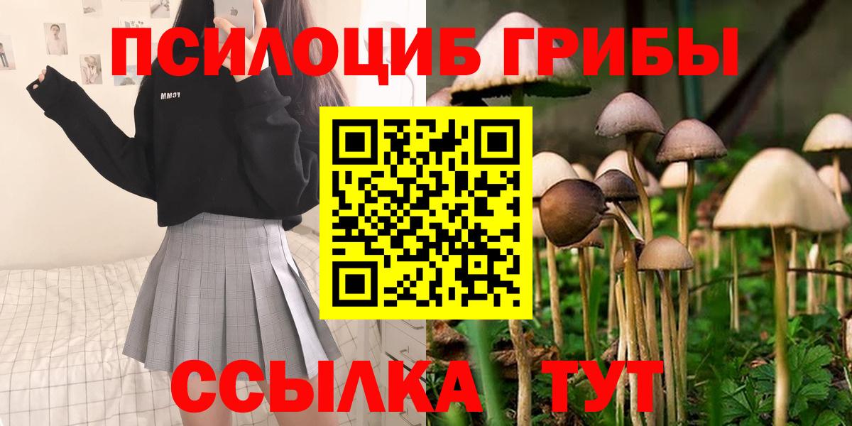 Псилоцибиновые грибы Psilocybine cubensis Лысьва